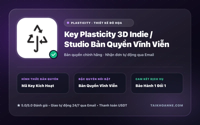 Key Plasticity 3D Indie / Studio Bản Quyền Vĩnh Viễn