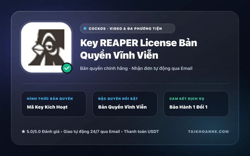 Key REAPER License Bản Quyền Vĩnh Viễn