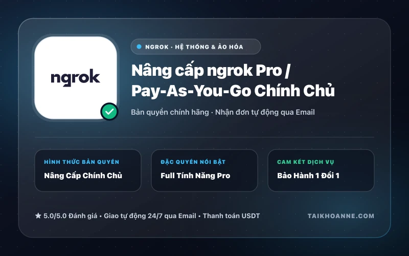 Nâng cấp ngrok Pro / Pay-As-You-Go Chính Chủ