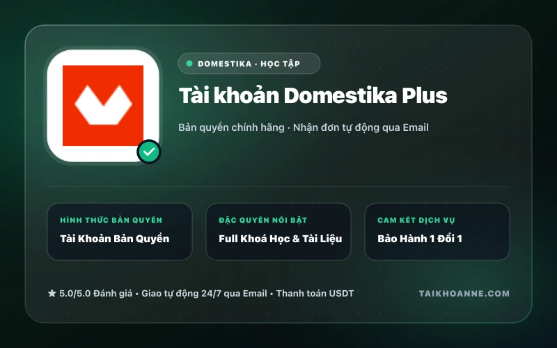 Tài khoản Domestika Plus